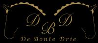 De Bonte Drie